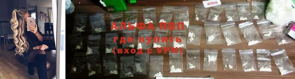 шишки Инта