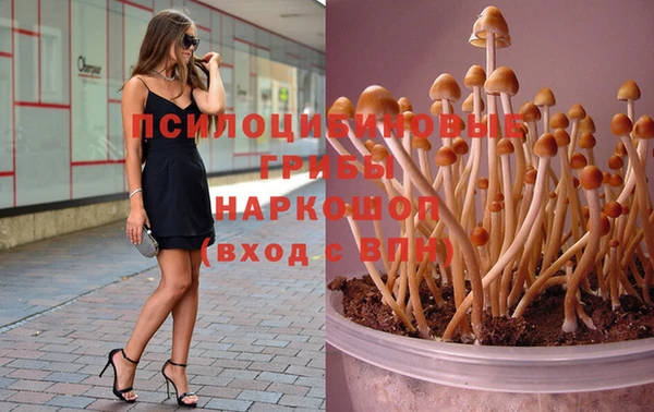 кокс Гусиноозёрск