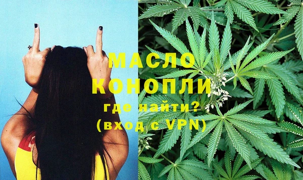 шишки Инта
