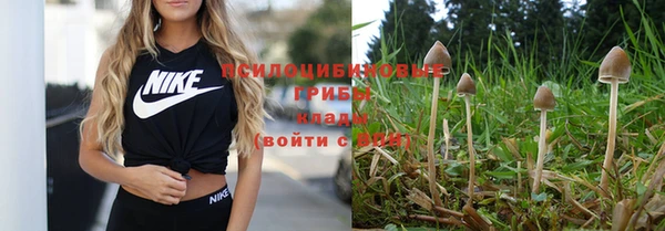 ешки Гусев